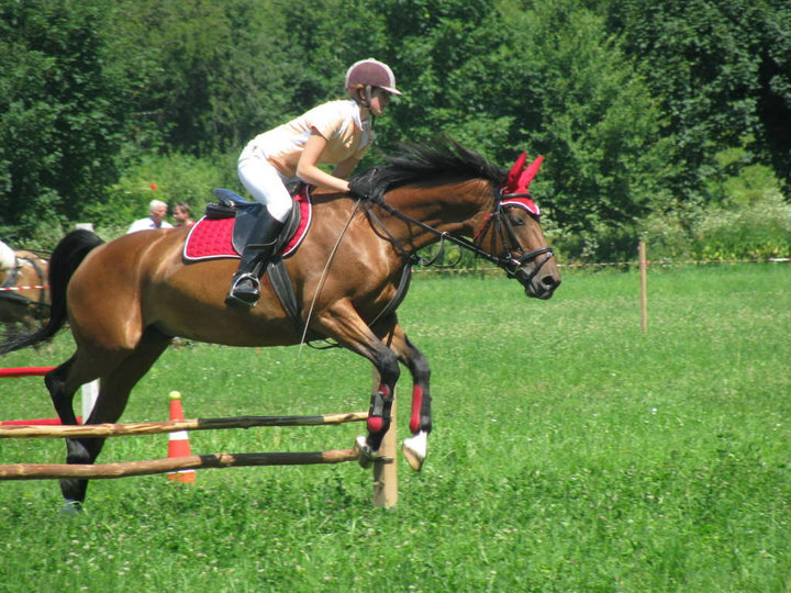 40969_149647315054276_100000270264459_385899_6873514_n