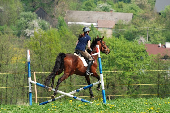 228540_212068768817432_207005739323735_718640_2361402_n