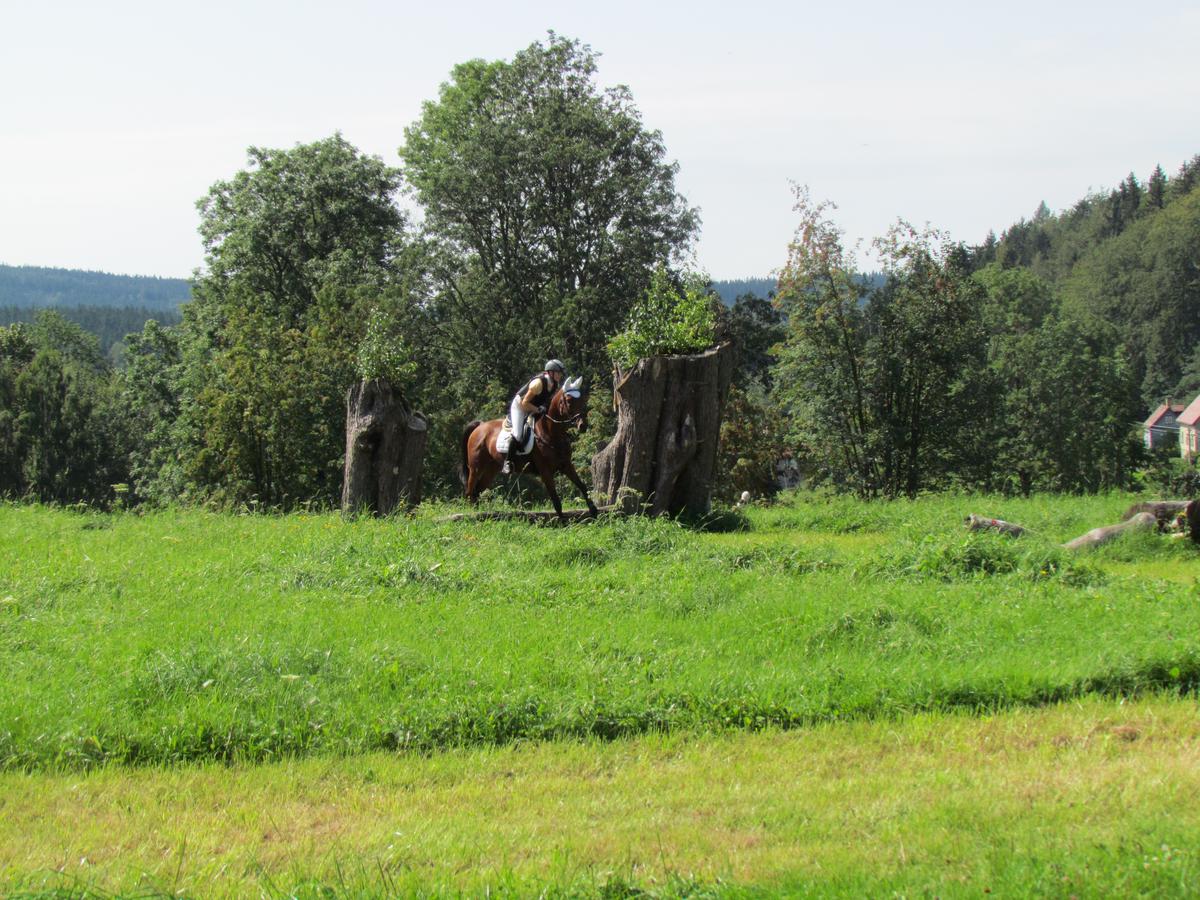 Crossy_21.8.2011_030