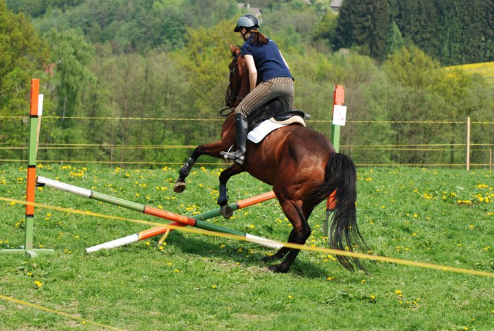 227186_212068745484101_207005739323735_718639_7194209_n